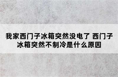 我家西门子冰箱突然没电了 西门子冰箱突然不制冷是什么原因